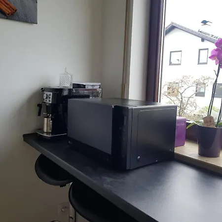 Beautiful 3 110 M2, Kostenloser Parkplatz, Grosser Balkon Apartment Hessdorf